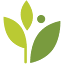 athenahealth